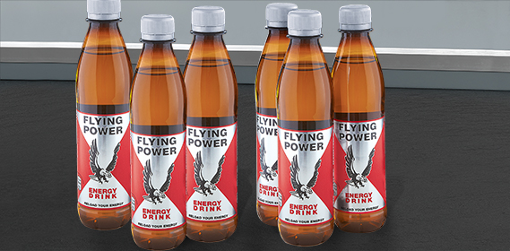Energy Drink, Flying Power, 6x 0,33 L (PET), Dezember 2012