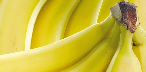Bananen, Februar 2008